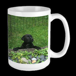 Large Mug Vision Photos