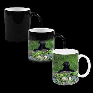 Magic Mug Vision Photos