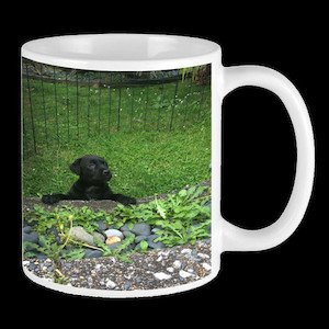 Photo Mug Vision Photos