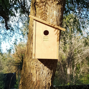 Internet only: Kohab Starling Birdhouse