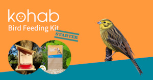 Kohab Bird Feeding Starter Kit