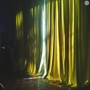 Internet only: Louisiana Light Olive Curtains