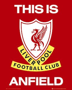 Liverpool FC This Is Anfield Mini Poster Blockmount