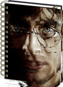 Harry Potter Harry Or Voldemort 3D Cover Elasticated A5 Wiro Notebook