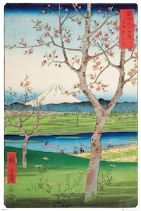 Hiroshige Outskirts Of Koshigaya Art Maxi Poster