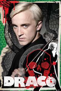 Harry Potter Draco Maxi Poster