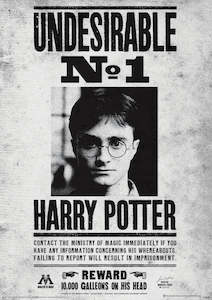 Paper product wholesaling: Harry Potter Undesireable No 1 30x40cm Movie Print