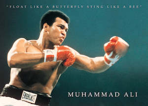 Paper product wholesaling: Muhammad Ali Float Like A Butterfly Rare Vintage Maxi Poster Blockmount