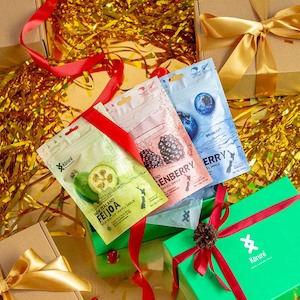 Health food wholesaling: Christmas Fruit Snack Bundle