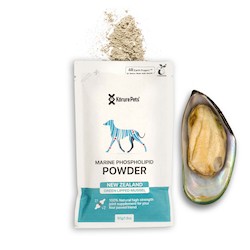 Recharge * Dog Refill  - Green Lipped Mussel Powder