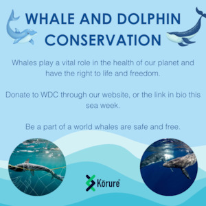 Manufacturing: Donation for Whale and Dolphin Conservation