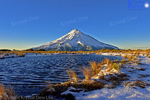 Taranaki From Pouakai Tarn At Dawn-1