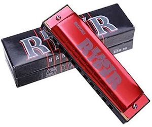 Hohner Harmonica Silver Star: Suzuki EZ Rider 10-hole Diatonic Harmonic (Silver/Red)