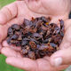 cascara sagrada