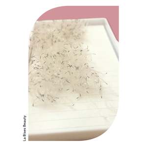 WHite 6D premade 300 fans- Eyelash Extensions