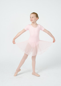 Pink leotard with chiffon skirt – Primary Levels