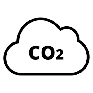 Clothing wholesaling: ∙ Carbon Offset