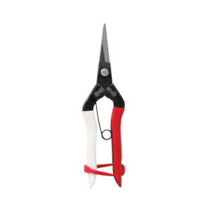 Okatsune Pointed Tip Fruit Shears