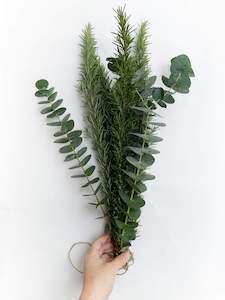 Farm produce or supplies wholesaling: Rosemary & Eucalyptus 'Bath Bouquets' for Shower Head