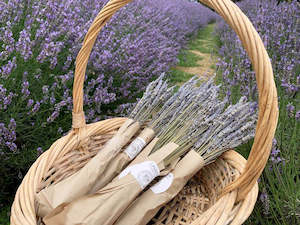 Lavender Dried Flowers - Lavandula x Intermedia (Super)