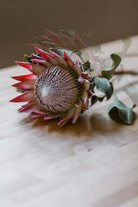 Farm produce or supplies wholesaling: Stunning Protea Flower Arrangement