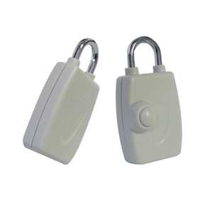 Mini Padlock Tag