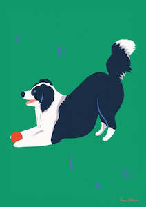 Border Collie Art Print