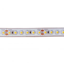 Sports coaching service - professional sport: Strip Light 120 3528 LEDs/m 24V - Waterproof