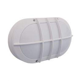 Sports coaching service - professional sport: Bulk Head Light 10W 230V White - Cool White