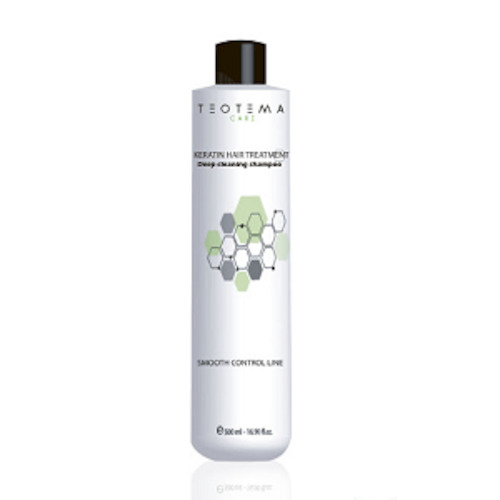 Teotema Teoliss Smooth Control Deep Clean Shampoo