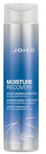 Hairdressing: Moisture Recovery Shampoo