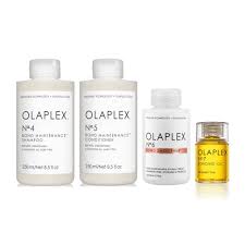 Olaplex Shampoo & Conditoner Package 2