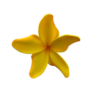 Frangipani Curve yellow