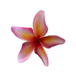 Frangipani Curve pink/white/yellow