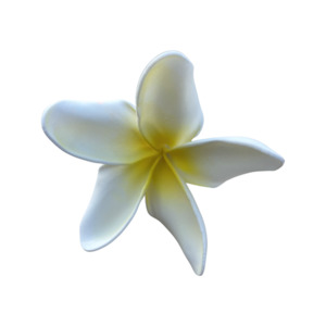 Frangipani Curve White