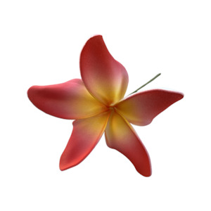 Frangipani Curve red/white