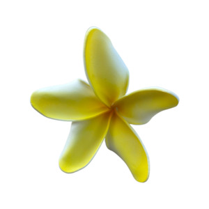 Frangipani Curve white/yellow