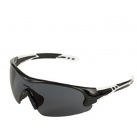 Napoli smoke polarized interchangeable lens