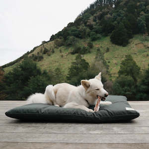 Dog Beds: The Outdoor Bed