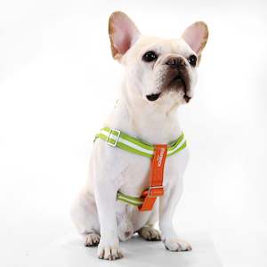 Florence by Mills Appleskin Dog Harness