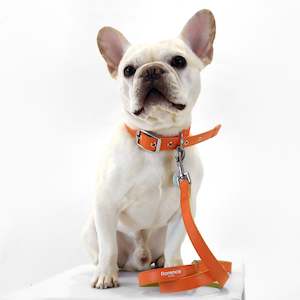 Florence by Mills Appleskin Dog Leash