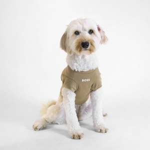 BOSS Dog Essentials Short Sleeve Crewneck