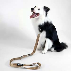 BOSS Dog Essentials Leash