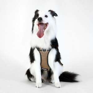 BOSS Dog Essentials Harness