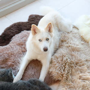 Sheepskin Rug: NZ Longwool Sheepskins