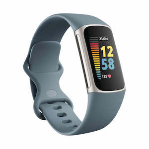 Fitbit Charge 5 Blue/Platinum