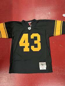 Sporting equipment: MNN PITTSBURGH STEELERS POLAMALU