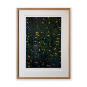 Petra Leary - Dark Bloom (Framed)