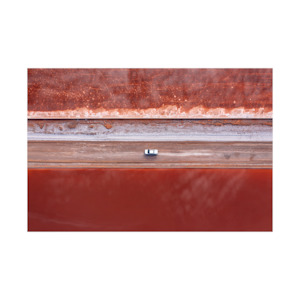 Petra Leary - Red Salt (Unframed)