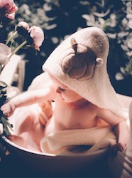 Womenswear: Organic Cotton Towel With Hood Teddy